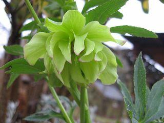 k-IMG_0427.jpg