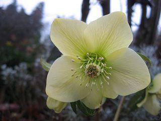 k-IMG_0429.jpg