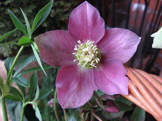 k-IMG_0434.jpg