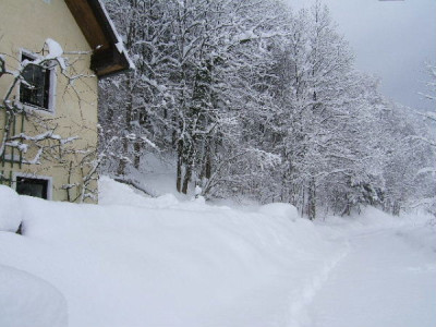 DSCF3891.JPG