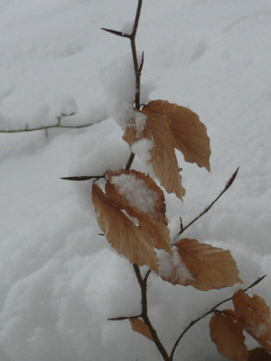 winterberg_001.jpg