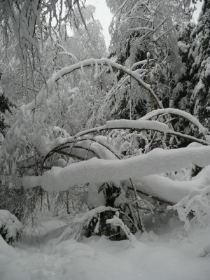 winterberg_002.jpg