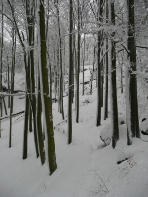 winterberg_003.jpg