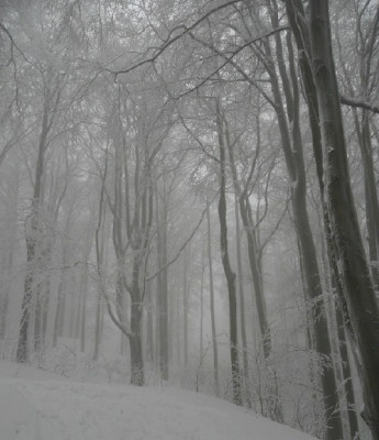 winterberg_005.jpg