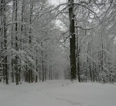 winterberg_006.jpg