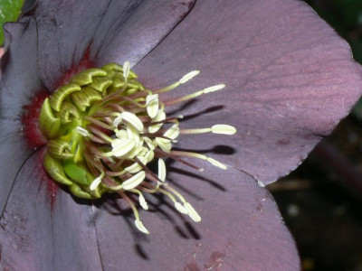 P1120758_i_640.jpg