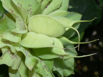 P1120800_i_640.jpg