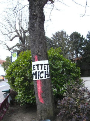 vergeblicher_Hilferuf.jpg