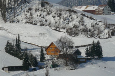 25.02.2009.10.JPG