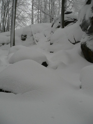 090223.jpg
