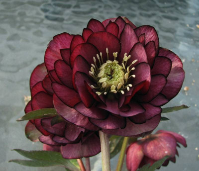 IMG_4945_rot.jpg