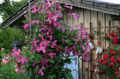 Cl.int.Pangbourne_Pink0807a.jpg