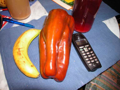 ital_Riesen-Paprika1.jpg