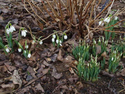 Kopie_von_2009-02-28_11-19-14_-_DSC06608.jpg