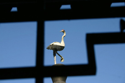 blau-Jan-2.jpg