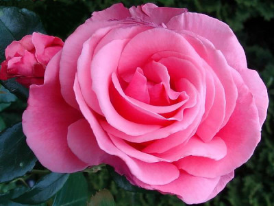 3.6.2008_20-15-15_0027.jpg
