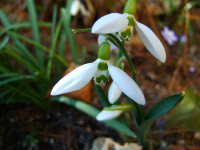 DSCF1423.JPG