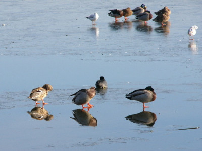 blau-Jan-4.jpg