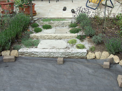 2008_0727Garten20080010.JPG