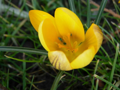 DSCN1015.jpg