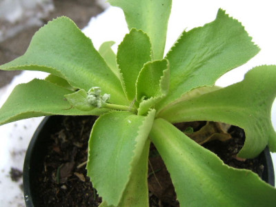 DSCF6586.JPG