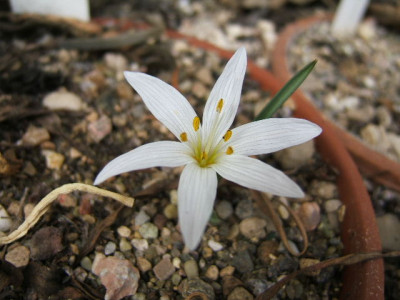 DSCF6559.JPG