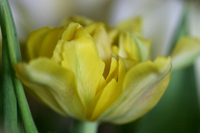 IMG_6477b.jpg