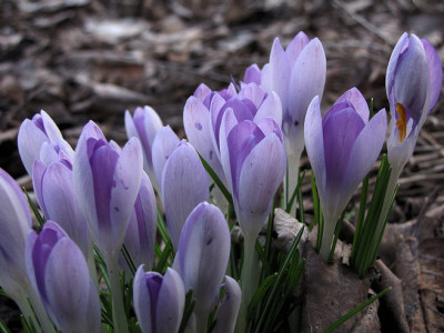 IMG_0335_uu.jpg