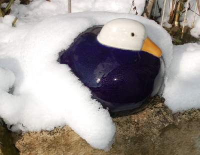 Ente_im_Winterpelz_0010__2892.jpg