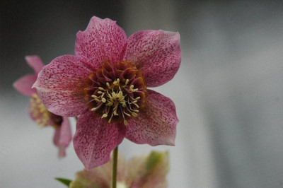 8.8.2009_005.jpg