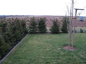 IMG_1522a.jpg