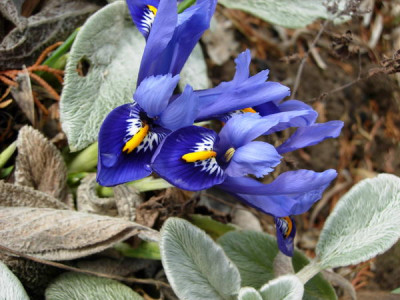 DSCN0997.JPG