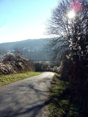 Wintersonne_2-2005.jpg