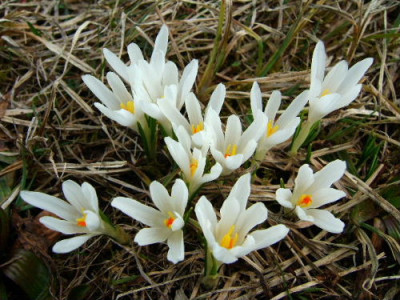 DSCF5026.JPG