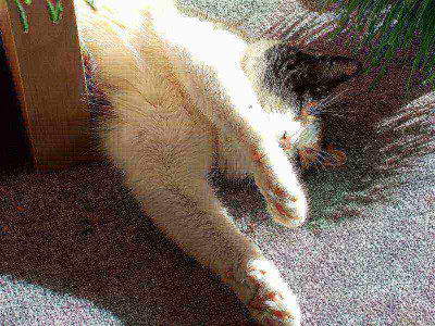 DSCF2634.JPG