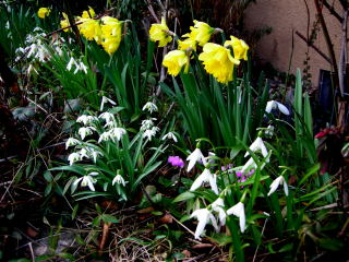 DSCN14972009-03-14Januar_1.JPG