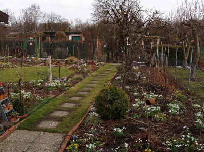 garten_maerz2009.jpg
