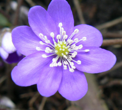 Hep_n_dunkel_090314_a.jpg