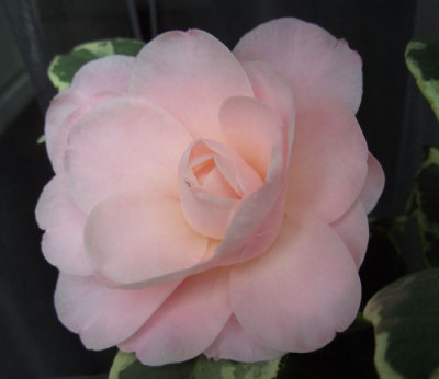 BILD8273.JPG