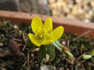 DSCF6595.JPG