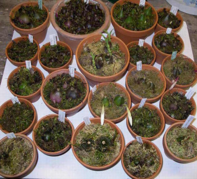 2009-03-15_001.JPG