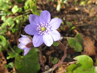 k-IMG_0495.jpg