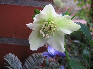 k-IMG_0451.jpg
