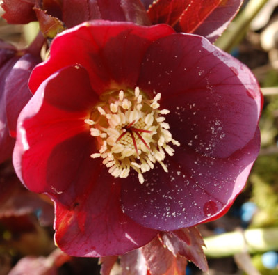 Dunklere_0011__3014.jpg
