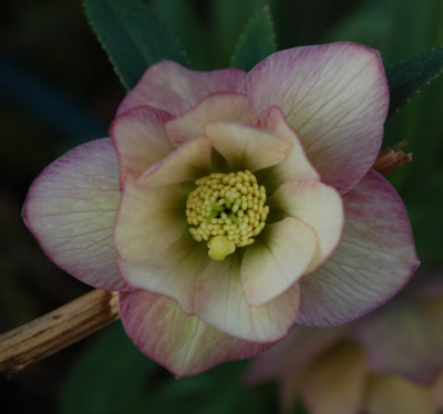 Mixfarben_0012__3025.jpg