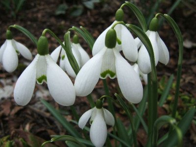 DSCF6620.JPG