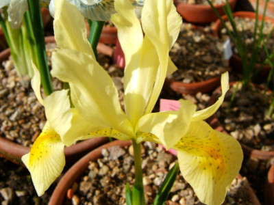DSCF1657.JPG