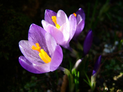 DSCF1661.JPG