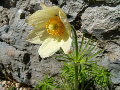 DSCF9818.JPG