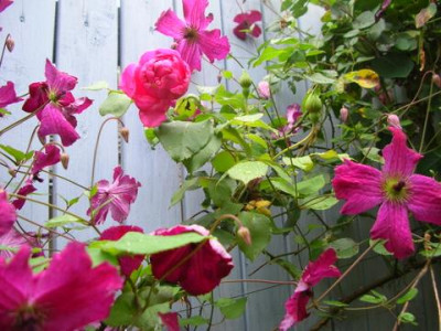 DSCN2341.JPG